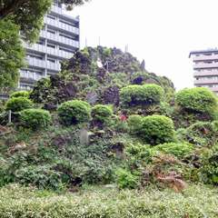 投稿日:2019年4月24日 写真