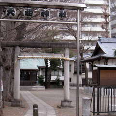 写真
