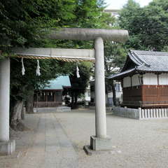 写真