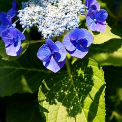 投稿日:2025年2月4日 写真