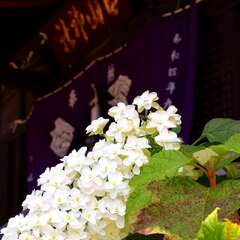 投稿日:2025年2月4日 写真