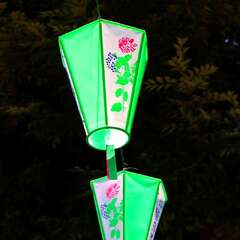 投稿日:2025年2月4日 写真