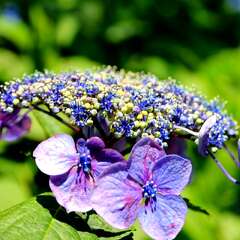 投稿日:2025年2月4日 写真