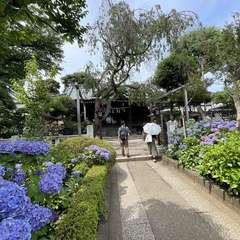 投稿日:2021年6月11日 写真
