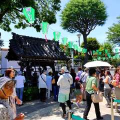 投稿日:2025年2月4日 写真