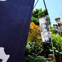 投稿日:2025年2月4日 写真