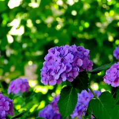 投稿日:2025年2月4日 写真