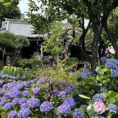 投稿日:2021年6月11日 写真