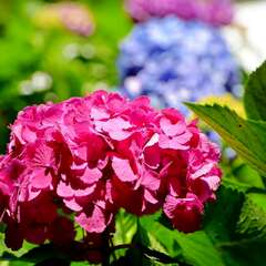 投稿日:2025年2月4日 写真