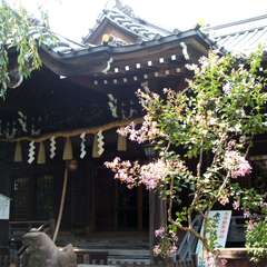 投稿日:2015年9月13日 写真