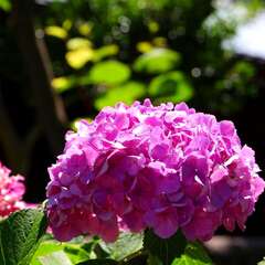 投稿日:2025年2月4日 写真