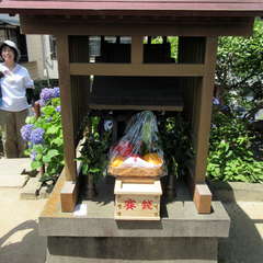 投稿日:2023年6月18日 写真