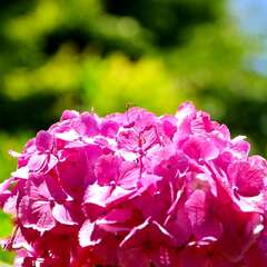 投稿日:2025年2月4日 写真