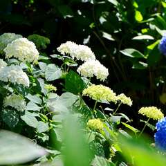 投稿日:2025年2月4日 写真