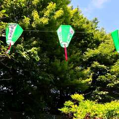 投稿日:2025年2月4日 写真