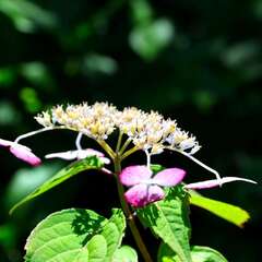 投稿日:2025年2月4日 写真