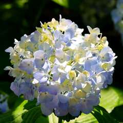 投稿日:2025年2月4日 写真