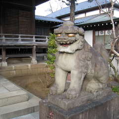 投稿日:2023年12月30日 写真