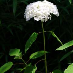 投稿日:2025年2月4日 写真