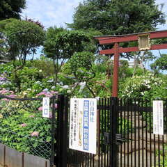 投稿日:2023年6月18日 写真