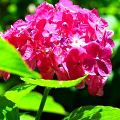 投稿日:2025年2月4日 写真