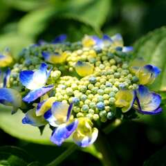 投稿日:2025年2月4日 写真