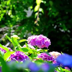 投稿日:2025年2月4日 写真