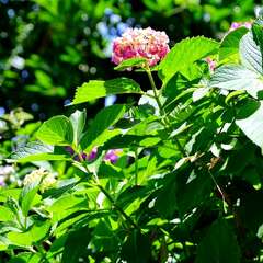 投稿日:2025年2月4日 写真