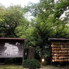 投稿日:2025年10月3日 写真