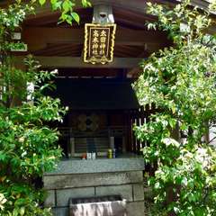 投稿日:2019年5月5日 写真