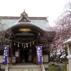 投稿日:2024年2月18日 写真