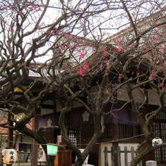 投稿日:2024年2月18日 写真