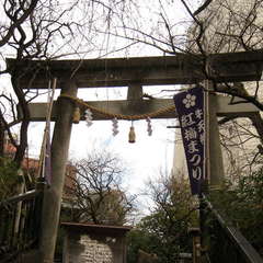 投稿日:2024年2月18日 写真