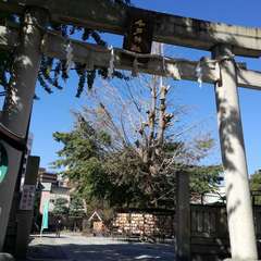 投稿日:2020年11月5日 写真