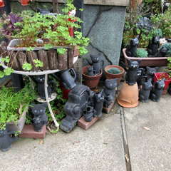 投稿日:2021年2月16日 写真