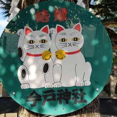 投稿日:2021年12月31日 写真