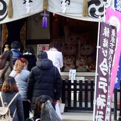 投稿日:2019年3月7日 写真