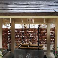 投稿日:2021年12月31日 写真