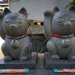 投稿日:2021年12月31日 写真