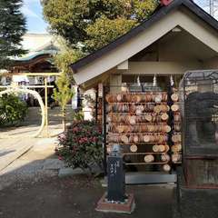 投稿日:2021年12月31日 写真