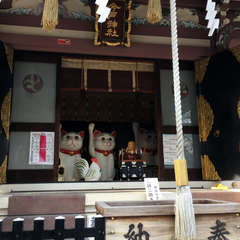 投稿日:2018年4月4日 写真