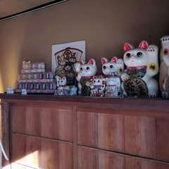 投稿日:2021年12月31日 写真