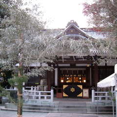 投稿日:2023年12月19日 写真