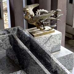 投稿日:2025年6月1日 写真