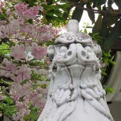 投稿日:2022年10月30日 写真