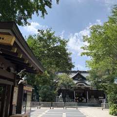 投稿日:2019年8月25日 写真