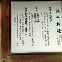 投稿日:2025年6月1日 写真
