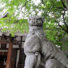 投稿日:2022年10月30日 写真