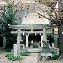 初音森神社 本社(投稿日:2025年10月15日) 写真