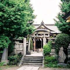 白鬚神社(投稿日:2025年9月6日) 写真
